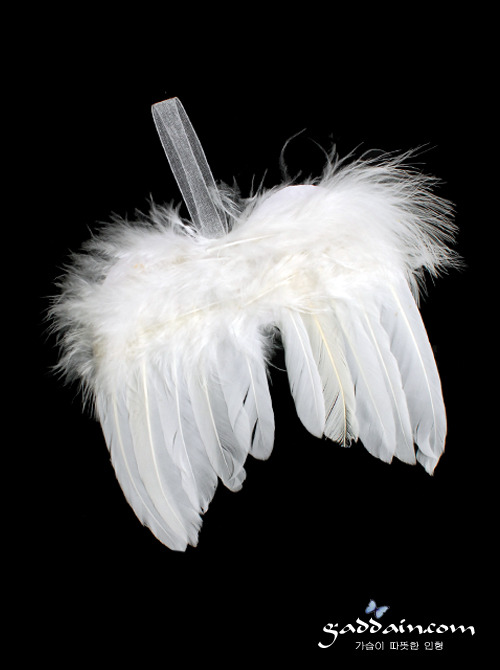 리본끈 천사 깃털 날개 장식 (약14*13.5cm)