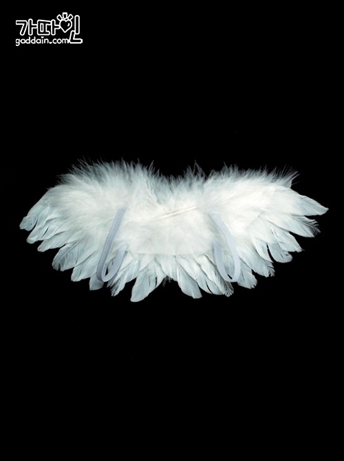 천사 깃털 날개 장식 2 color (약23*9cm)/어깨 고무 밴드형